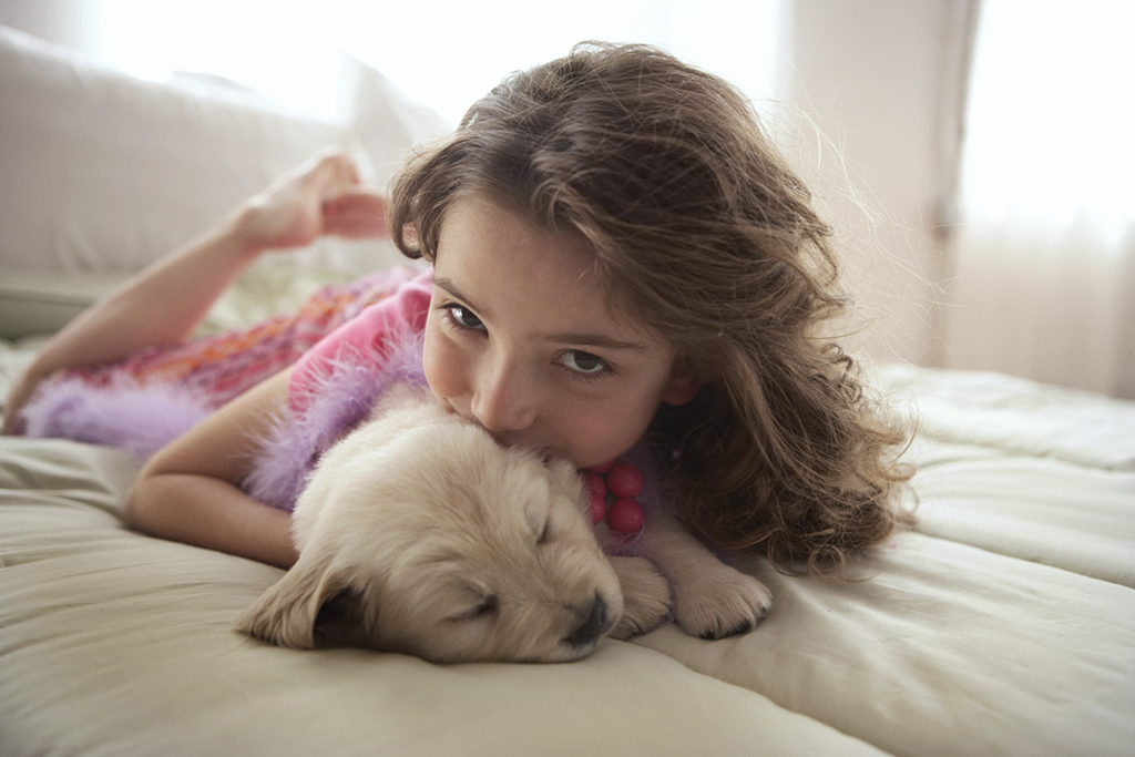 girl with dog carrier stock picture
